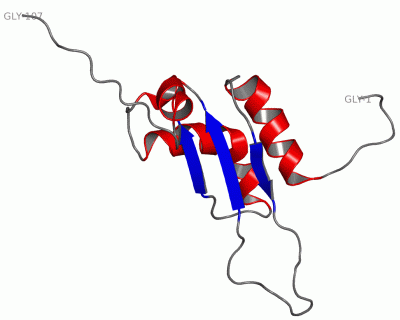 Image NMR Structure - manually