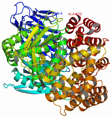 Image Asym./Biol. Unit - manually