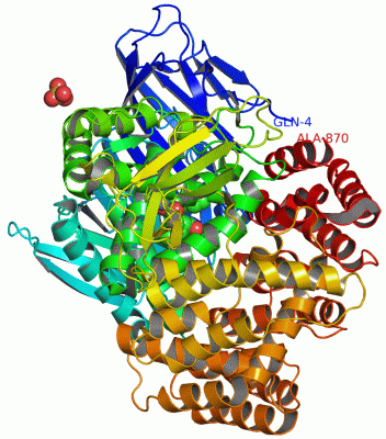 Image Asym./Biol. Unit - manually