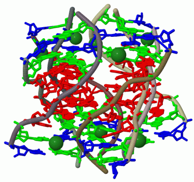 Image Biol.Unit 1 - manually