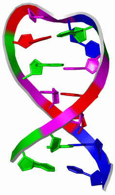 Image Biol.Unit 1 - manually