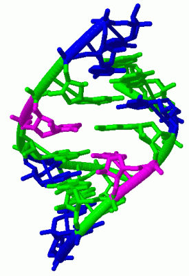 Image Biol.Unit 1 - manually