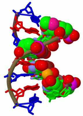 Image Biol.Unit 1 - manually