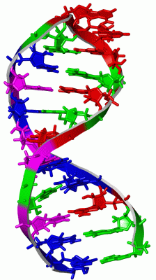 Image NMR Structure - manually