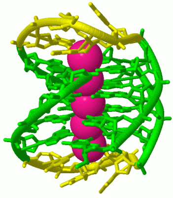 Image Biol.Unit 1 - manually