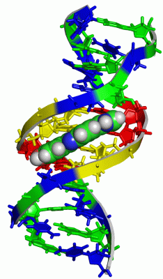 Image Theor.Model - manually