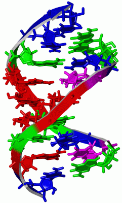 Image NMR Structure - manually