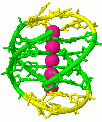 Image Biol.Unit 1 - manually