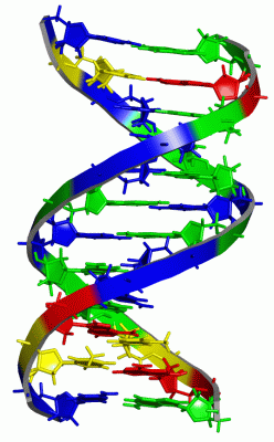 Image NMR Structure - manually