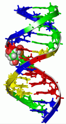 Image NMR Structure - manually