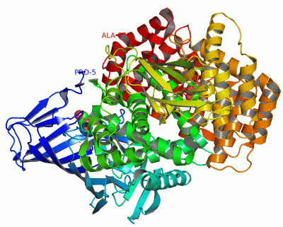 Image Asym./Biol. Unit - manually