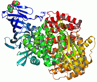 Image Asym./Biol. Unit - manually