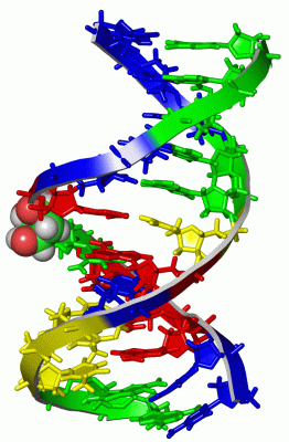 Image NMR Structure - manually