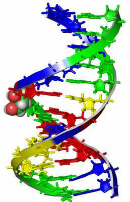 Image NMR Structure - manually