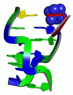 Image Asym./Biol. Unit - manually