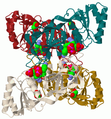 Image Biol.Unit 1 - manually