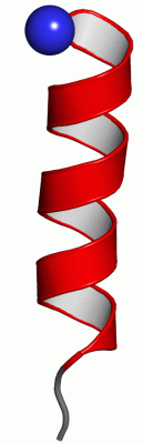 Image NMR Structure - manually