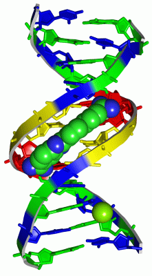 Image Asym./Biol. Unit - manually