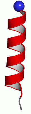 Image NMR Structure - manually