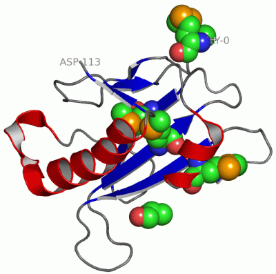 Image Asym./Biol. Unit - manually