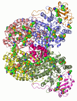 Image Asym./Biol. Unit - manually