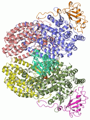 Image Asym./Biol. Unit - manually