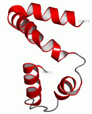 Image Theor.Model - manually