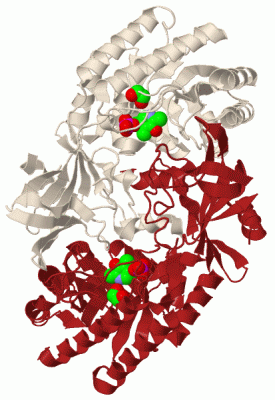 Image Biol.Unit 1 - manually