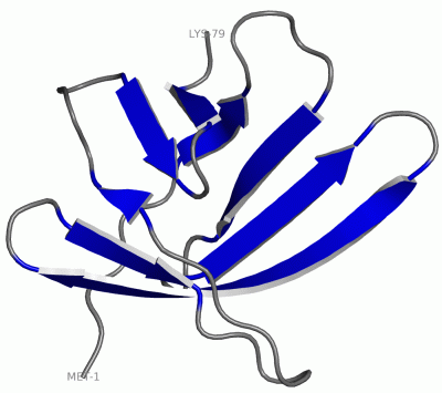 Image NMR Structure - manually