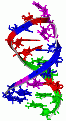 Image NMR Structure - manually