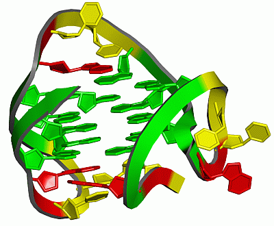 Image NMR Structure - manually