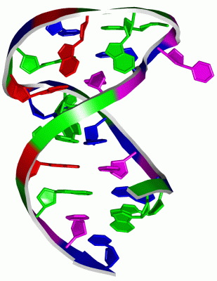 Image NMR Structure - manually