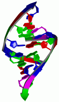 Image NMR Structure - manually