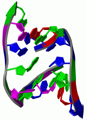 Image NMR Structure - manually