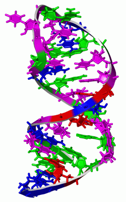 Image NMR Structure - manually