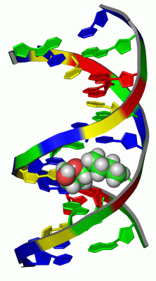 Image NMR Structure - manually