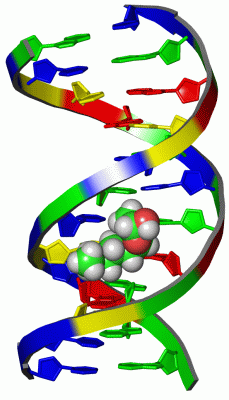 Image NMR Structure - manually