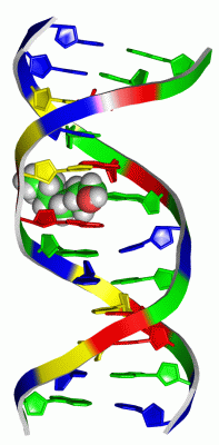 Image NMR Structure - manually