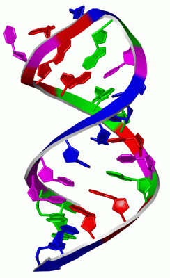 Image NMR Structure - manually