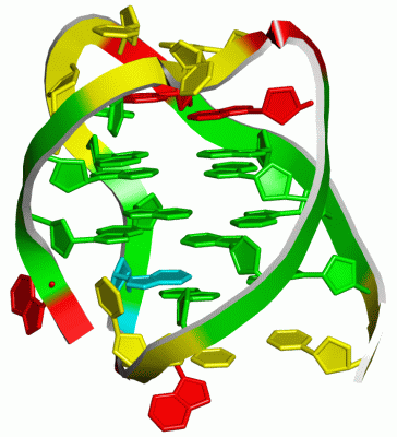 Image NMR Structure - manually