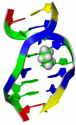 Image NMR Structure - manually