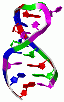 Image NMR Structure - manually