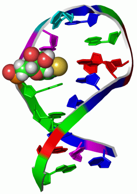 Image NMR Structure - manually