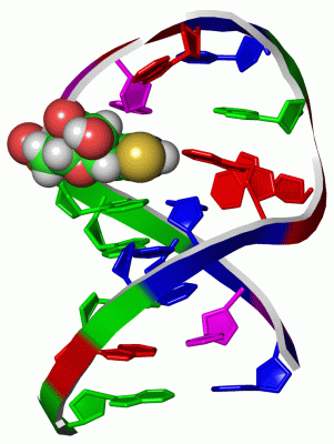 Image NMR Structure - manually