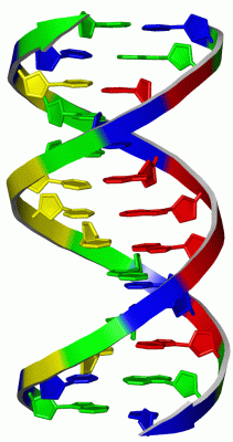 Image NMR Structure - manually