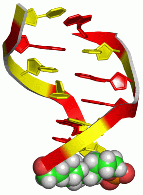 Image NMR Structure - manually