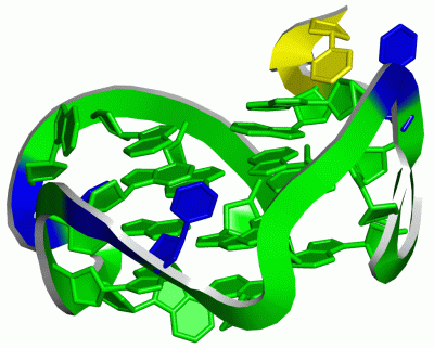 Image NMR Structure - manually