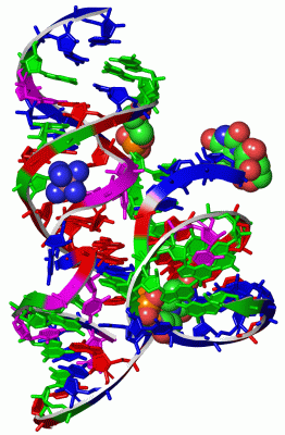 Image Asym./Biol. Unit - manually