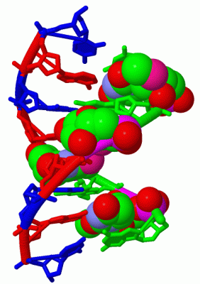 Image Biol.Unit 1 - manually