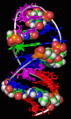 Image NMR Structure - manually